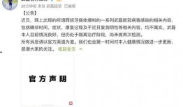 外媒体最新爆料新闻内容,外媒体最新爆料，震惊全球事件内幕曝光