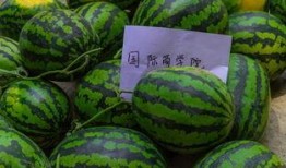 学校网红椅子吃瓜